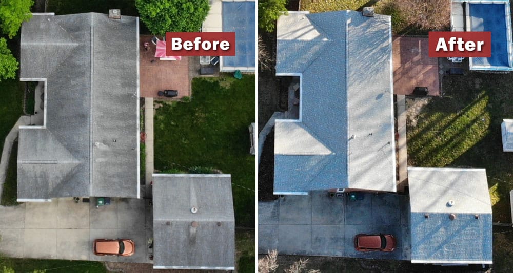 Indy roof cleaning services