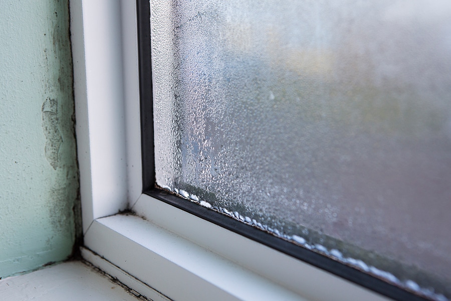 Keep Mold Out This Fall with Professional Window Replacement