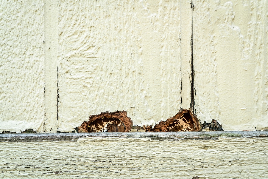 Post-Winter Siding Inspection: What to Check in Early Spring