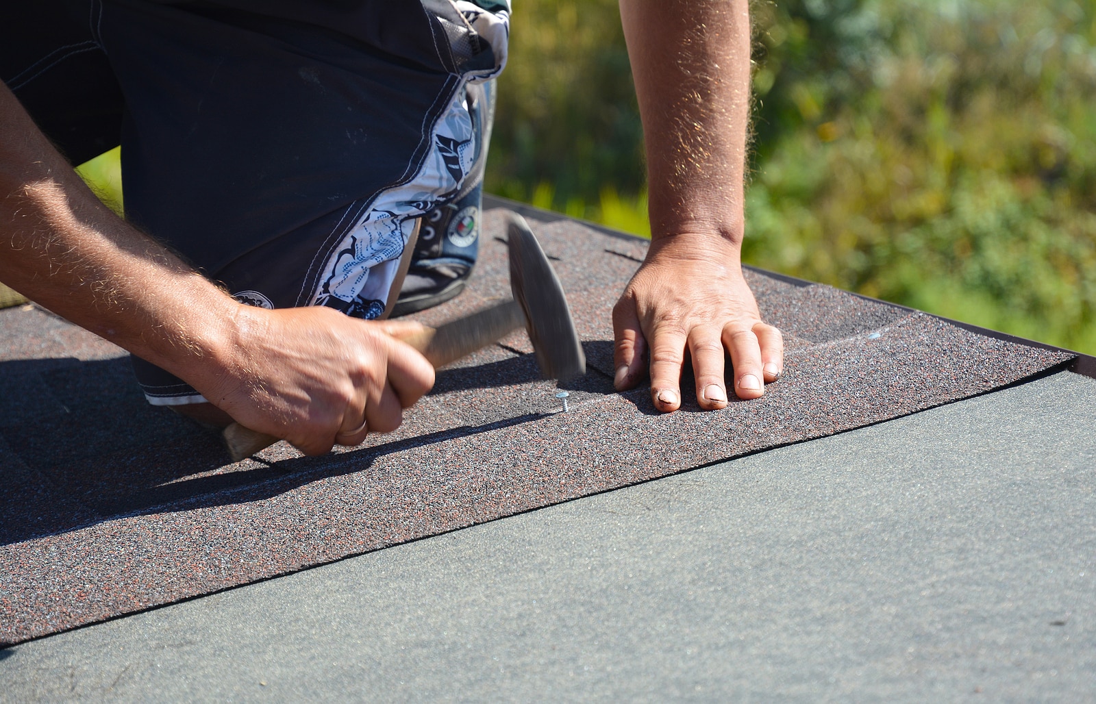 Choosing the Right Shingles for Your Roof Replacement