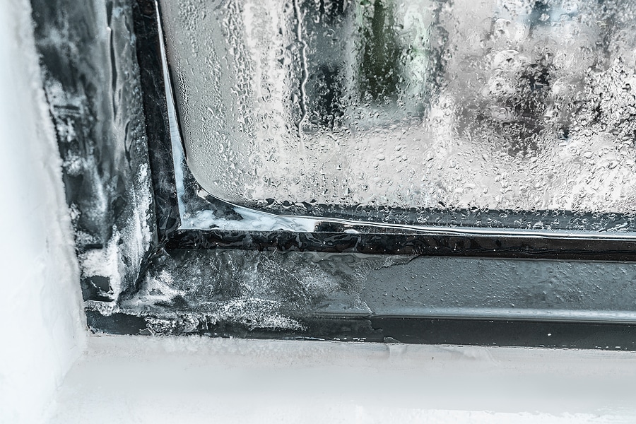 Window maintenance